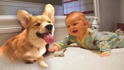 宝宝让狗咬了怎么办
